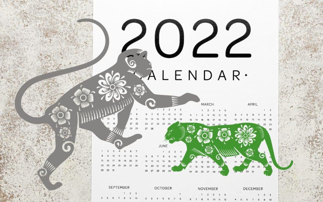 August 2022 - Monkey Clash