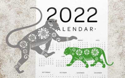August 2022 – Monkey Clash
