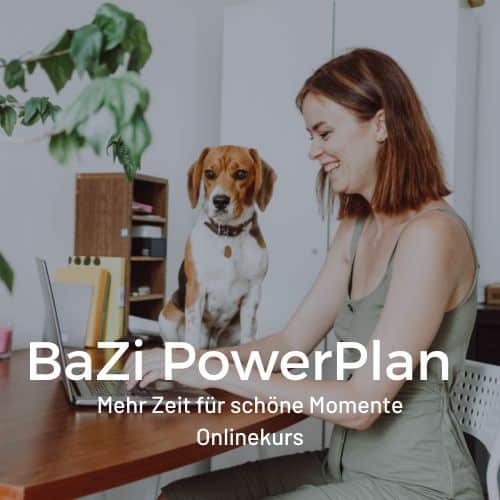 BaZi Power Plan