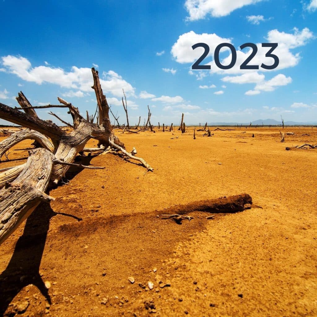 Element Erde im Jahr des Hasen 2023