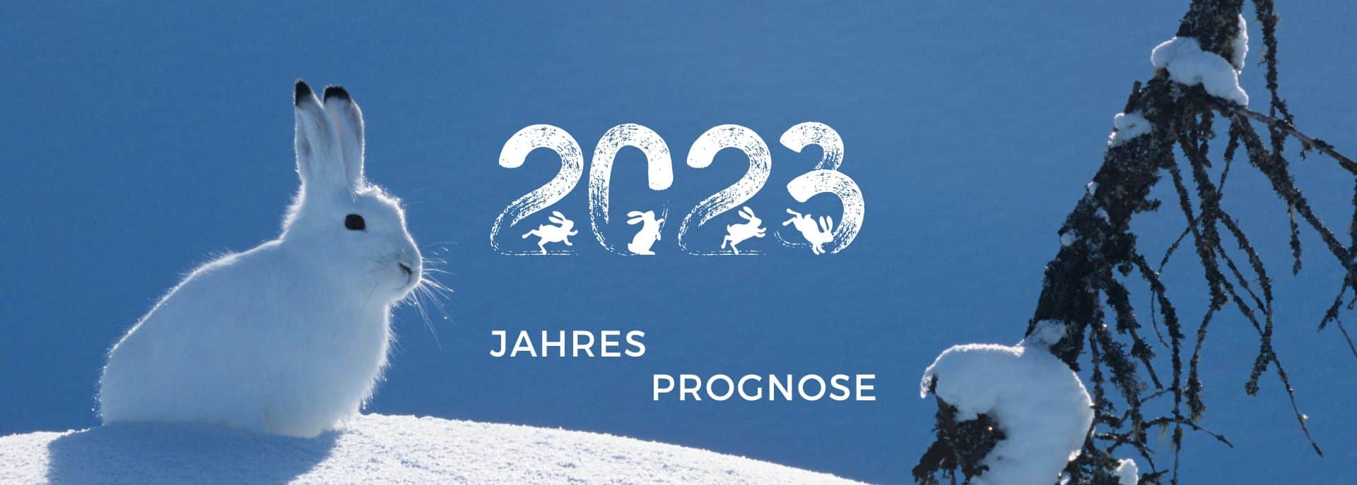 Jahreshoroskop 2023 – der Wasser Hase