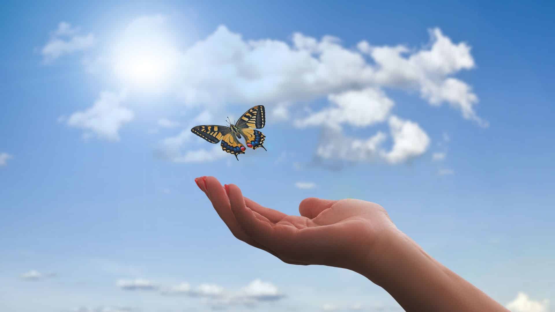 Frei und sorglos wie ein Schmetterling