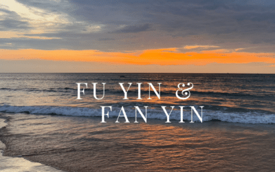 Fu Yin und Fan Yin