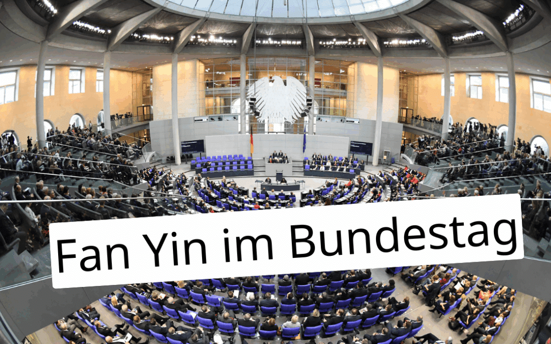 Fan Yin im Bundestag