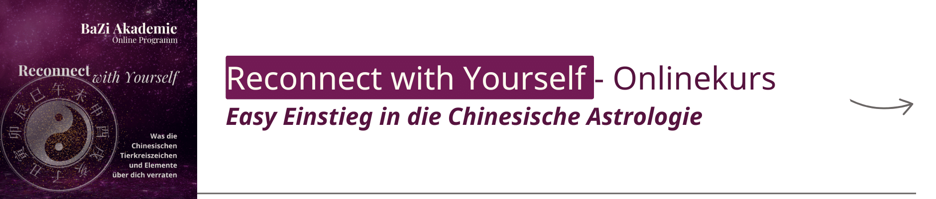 Online Kurs um deinen BaZi Chart zu lesen