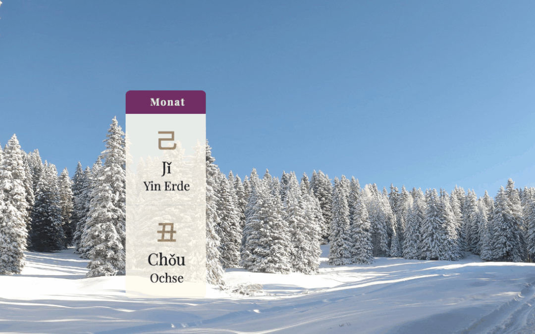 ruhige, verschneite Winterlandschaft