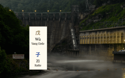 Chinesisches Horoskop für Dezember  2025