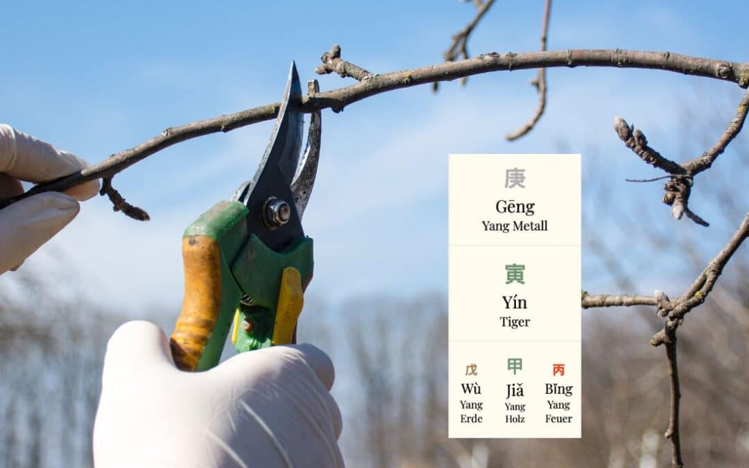 Monatsenergie / aktuelle Zeitqualität des Tiger Monats