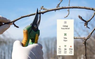 Chinesisches Horoskop Februar 2026