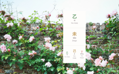 Chinesisches Horoskop Juli 2026
